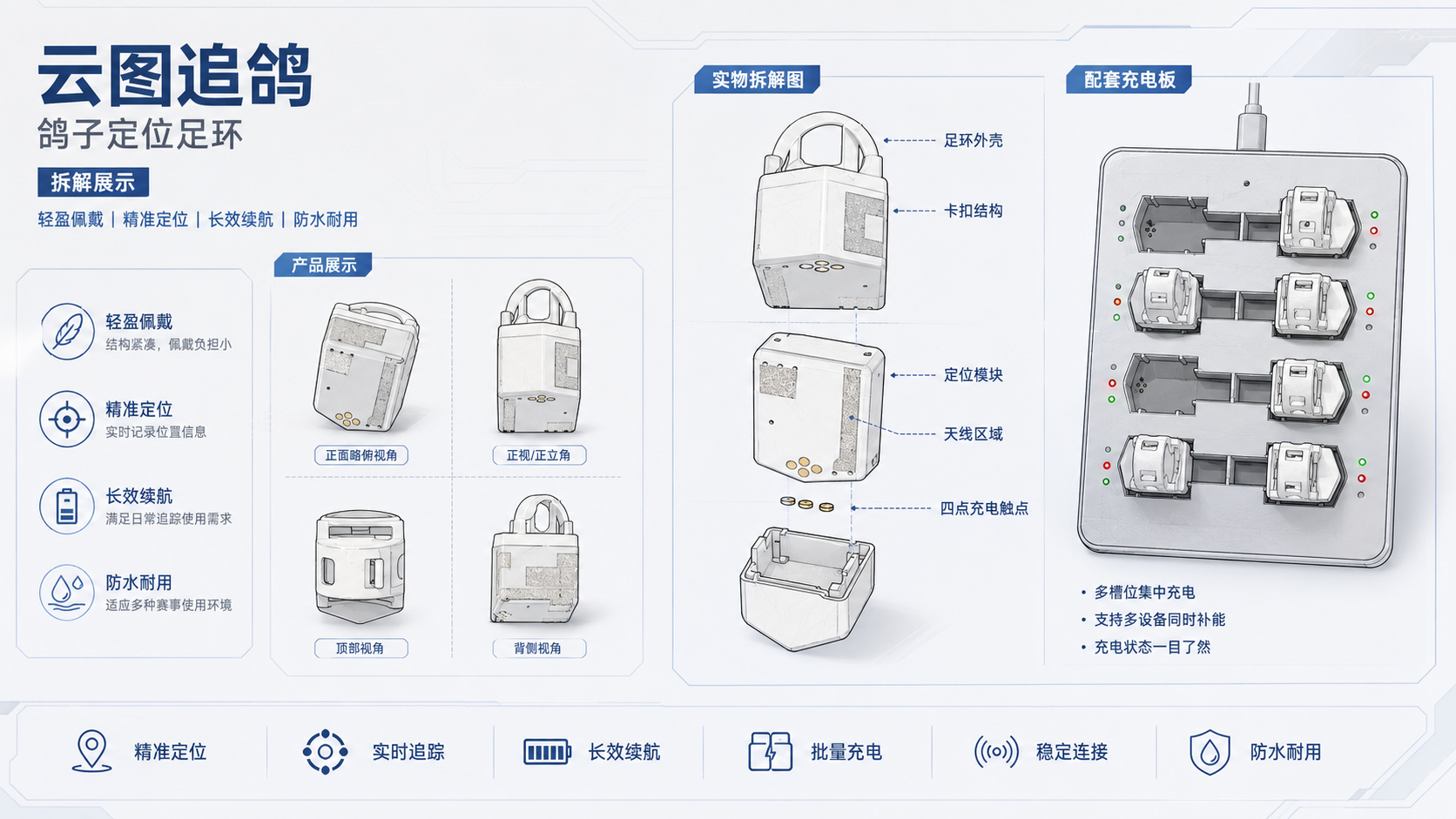 云图追鸽 GPS 定位足环与信鸽比赛管理平台展示